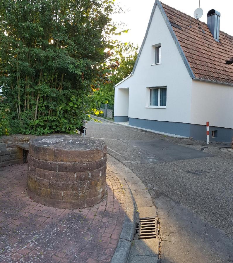 Ferienhaus Alexandra Bollenborn 外观 照片