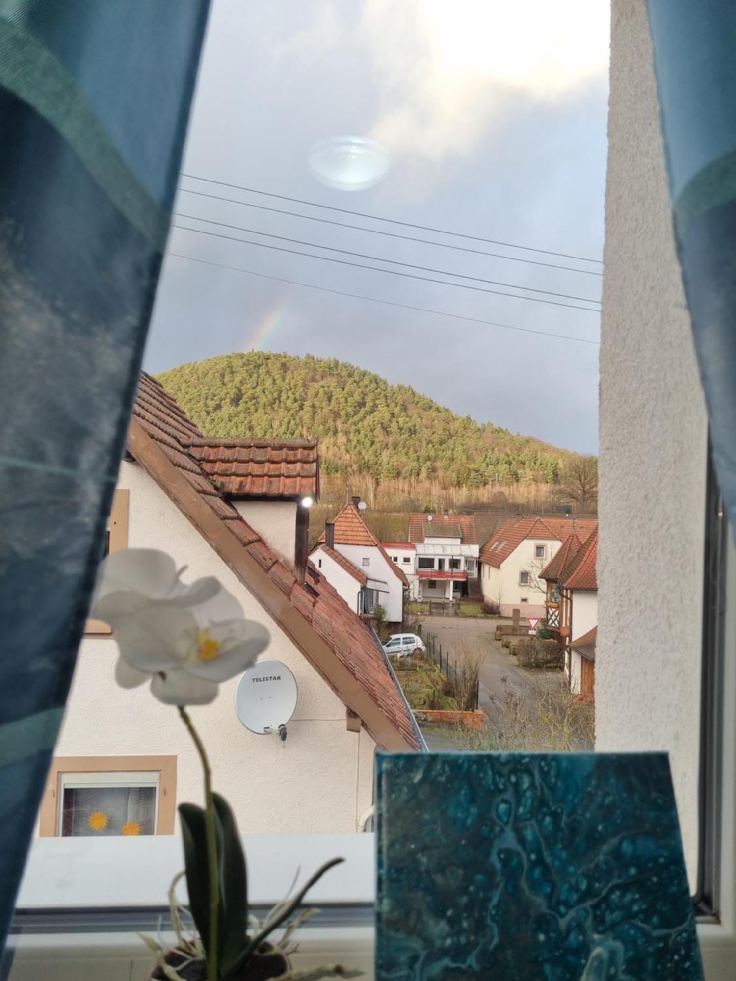 Ferienhaus Alexandra Bollenborn 外观 照片